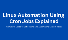 The Complete Journey of a Full Stack Java Developer: Learning to Employment